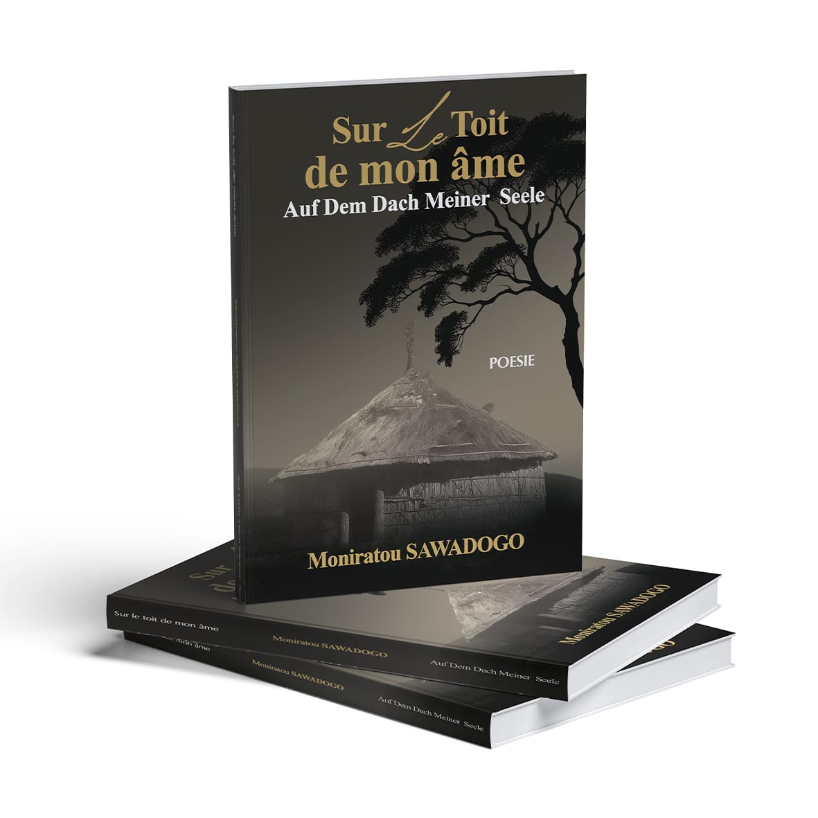 Sur le toit de mon âme